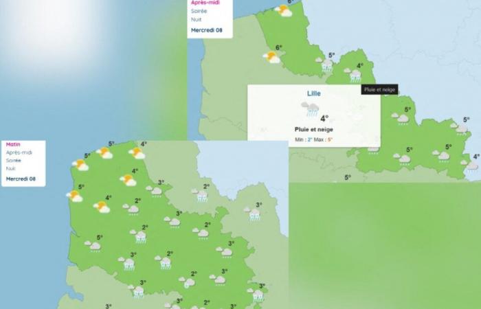 La neige a fait une timide percée cette nuit dans le Nord-Pas-de-Calais, elle devrait revenir ce mardi