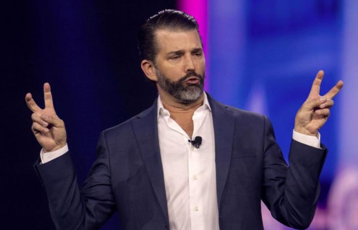 L’annonce d’une visite de Donald Trump Jr au Groenland sème le trouble