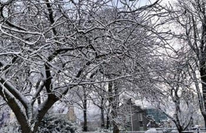 Londres se prépare à la neige alors que l’avertissement météo jaune est prolongé après une nuit glaciale de -5,5°C : en direct