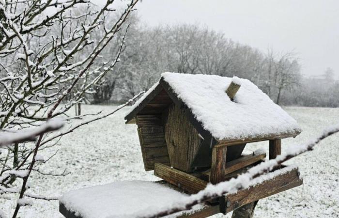 alerte jaune aux conditions glissantes jusqu’à jeudi