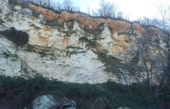 Cartographie de l’aléa chutes de pierres et glissements de terrain dans les vallées de la Seine, de l’Eure et de la Risle (Eure)