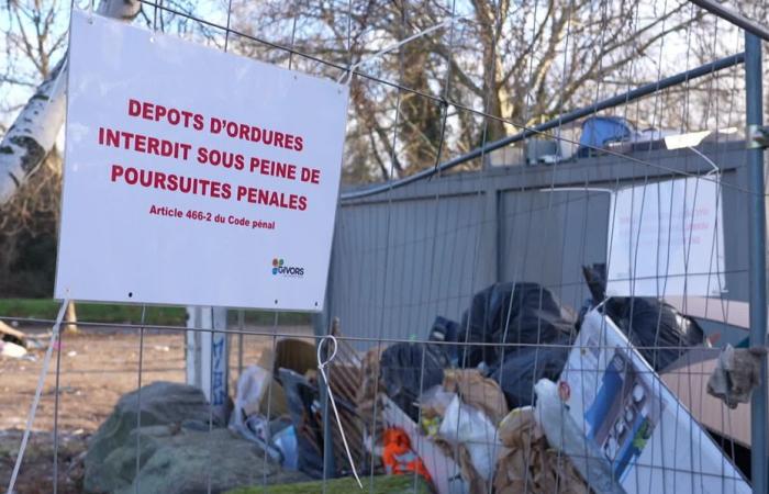 Plus de deux mois après les crues du Rhône, les déchets continuent de s’accumuler près de Givors