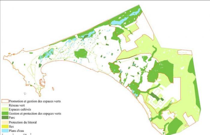 Le parc forestier de Dakar-Yoff : Où en sommes-nous ?