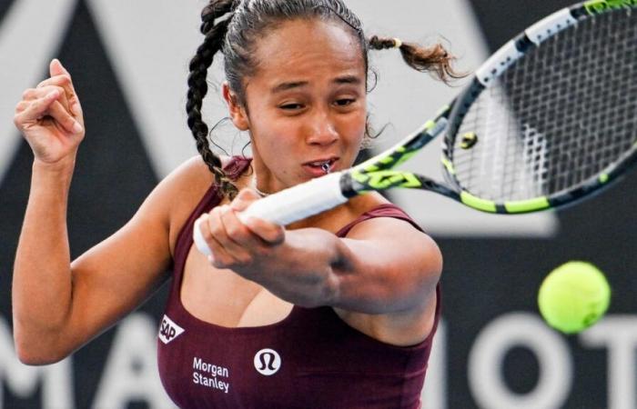 Les peintures de Leylah Fernandez, Félix Auger-Aliassime, Gabriel Diallo et compagnie à l’Open d’Australie : oups, la chance n’a pas été au rendez-vous !