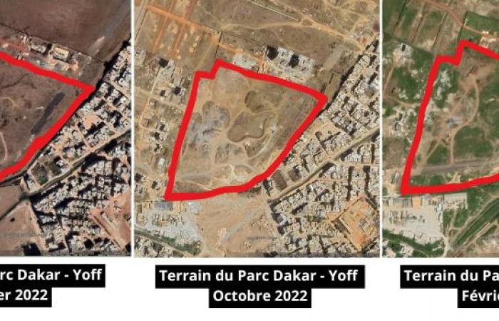 Le parc forestier de Dakar-Yoff : Où en sommes-nous ?