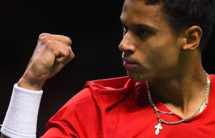 Les peintures de Leylah Fernandez, Félix Auger-Aliassime, Gabriel Diallo et compagnie à l’Open d’Australie : oups, la chance n’a pas été au rendez-vous !