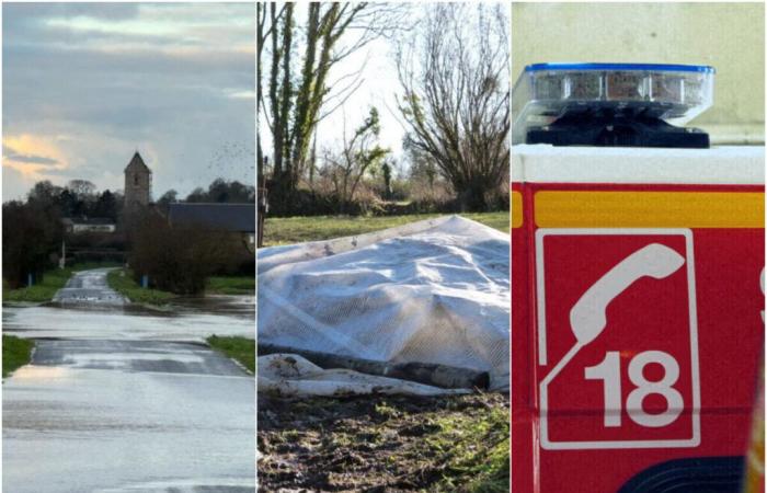 Inondations, moutons, RN13… Les 5 choses à retenir du jeudi 9 janvier dans la Manche