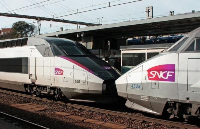 La SNCF ne pourra plus vous demander votre état civil : Actualités