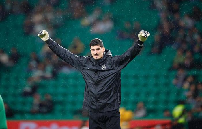 un gardien bosniaque pour faire oublier Pau Lopez ?