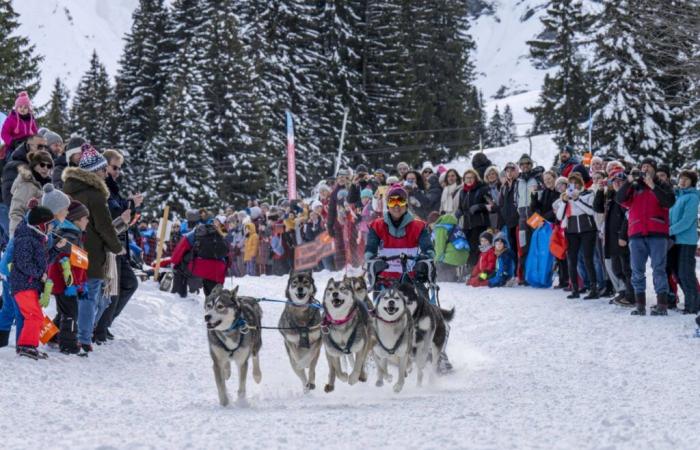 parcours, dates et informations sur cette course de chiens de traîneau incontournable !