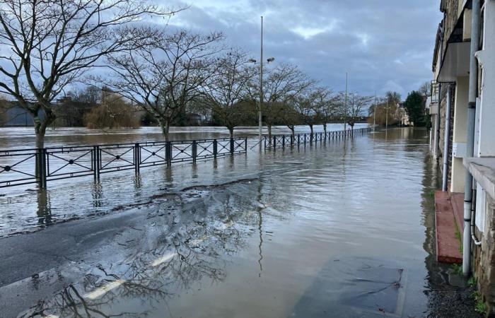 Intempéries. La Vilaine et la Seiche débordent. Les inondations sous haute surveillance en Ille-et-Vilaine