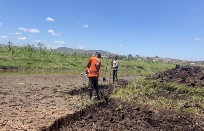 Sécheresse à Antananarivo, un impact direct sur la production agricole et la sécurité alimentaire – VivAfrik