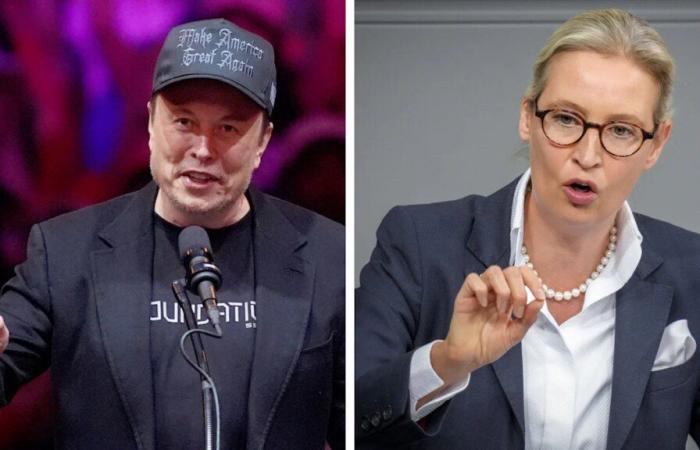 Musk et Weidel se parlent sur X – politique