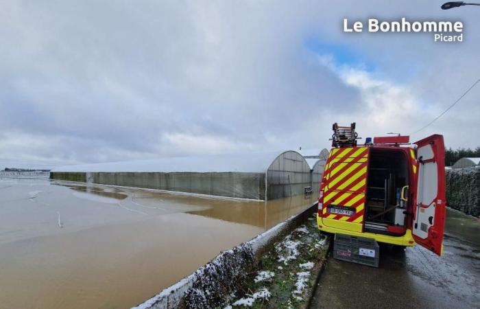 10 maisons et le pépiniériste Dekester impactés à Grandvilliers