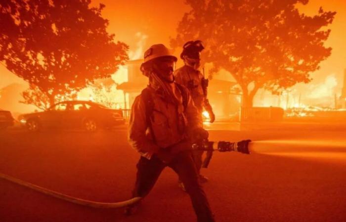 Tim Cook dit que les incendies de forêt à Los Angeles sont déchirants et Apple fait un don