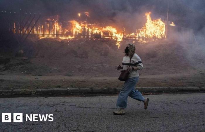 Comment les incendies de forêt ont ravagé Los Angeles