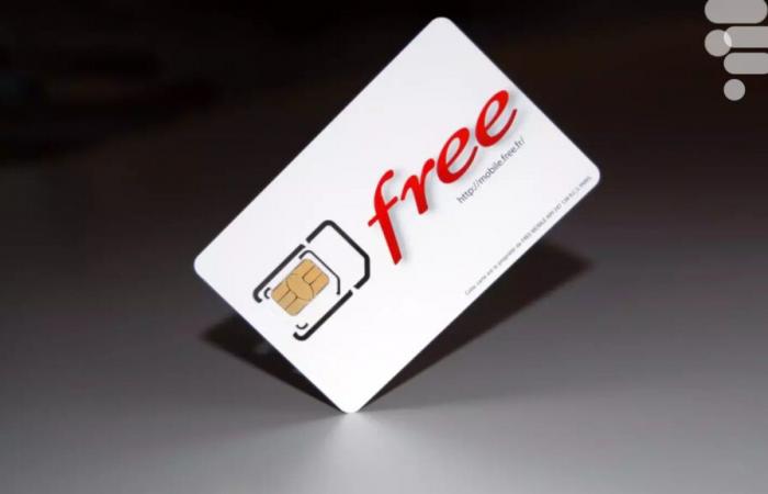 Face aux promotions folles des autres, Free choisit une autre voie