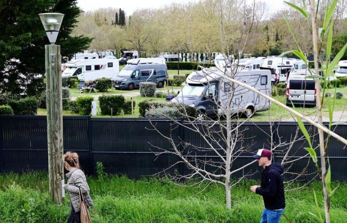 « Les petits campings ont tendance à disparaître »