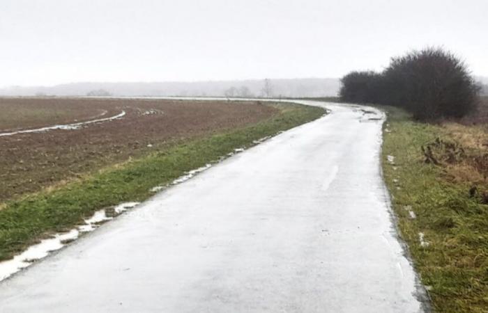 Meurthe-et-Moselle. Deux femmes meurent percutées par une voiture près de Toul