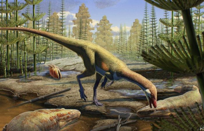 Les origines des dinosaures bouleversées par une nouvelle découverte