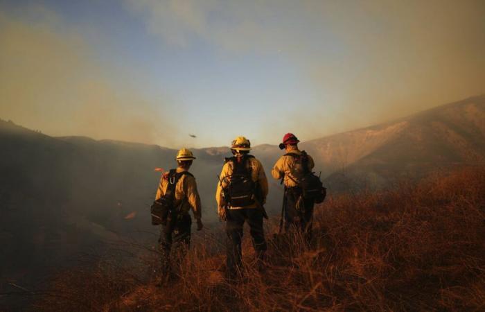 Prisonniers « volontaires », agents privés,… qui sont les pompiers qui tentent d’éteindre les incendies ?