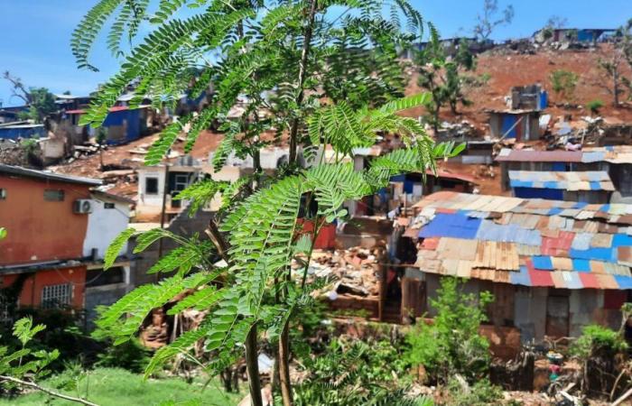 le « choc » pour les habitants rentrant à Mayotte après le passage du cyclone