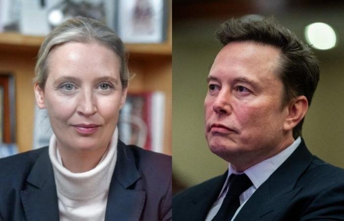 D’Hitler aux Martiens, l’échange hallucinant entre Elon Musk et le leader de l’extrême droite allemande