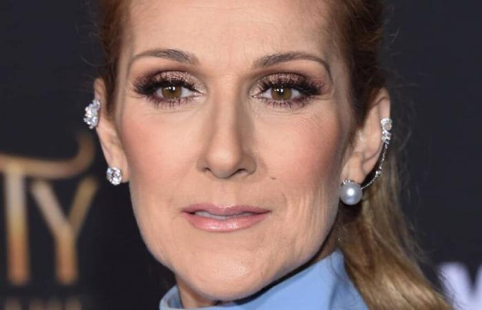 Céline Dion se mobilise pour les victimes