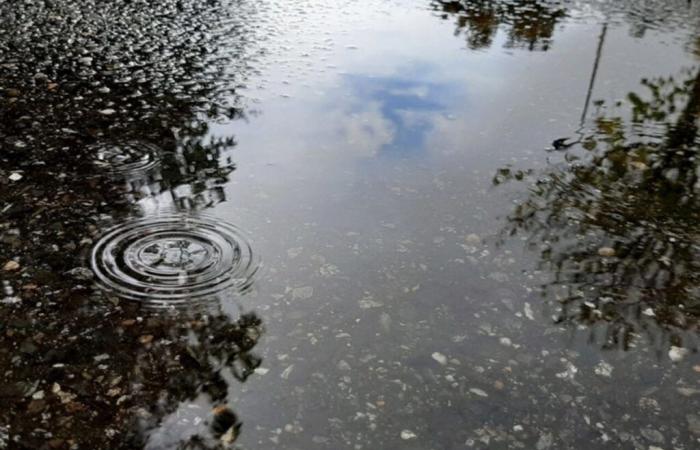 Bulletin météo. Pluie et nuages ​​pour ce week-end à Toulouse et en Occitanie