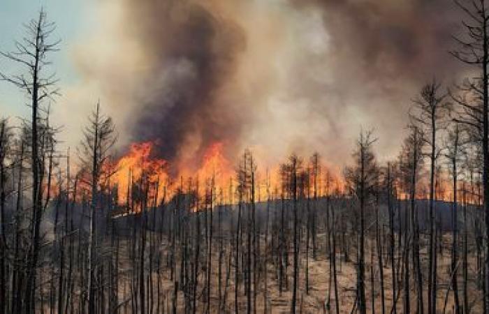 2024 a été l’année la plus chaude jamais enregistrée, pour la première fois supérieure aux objectifs de l’accord de Paris, selon Copernicus