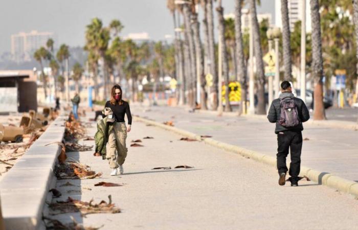 Dans les rues de Los Angeles où l’usine à rêves s’est transformée en usine à cauchemars