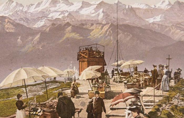 La polémique autour de la maladie de Rigi