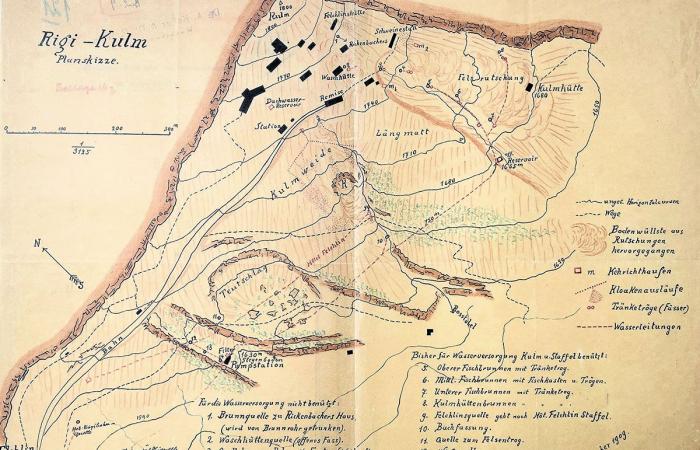 La polémique autour de la maladie de Rigi