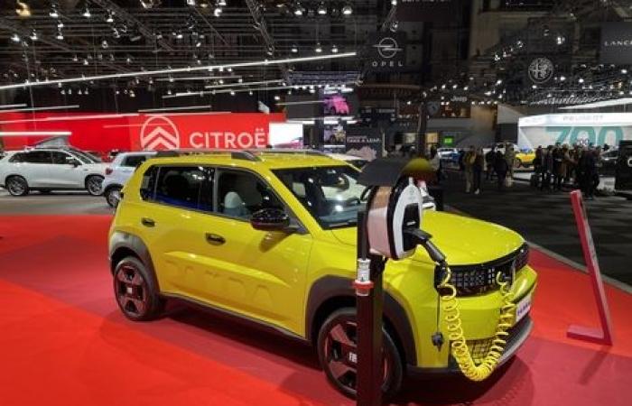 La Fiat Grande Panda est une star au Salon de l’Automobile de Bruxelles