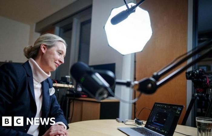 Musk interviewe la chanteuse d’extrême droite allemande Alice Weidel