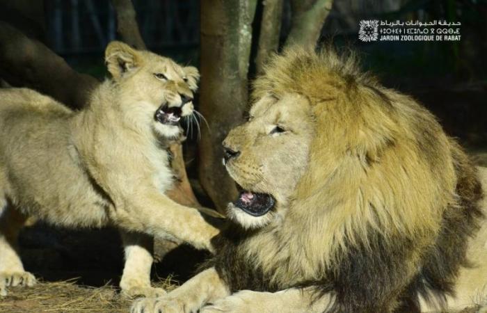 Le Jardin Zoologique National : 6 millions de visiteurs en 13 ans