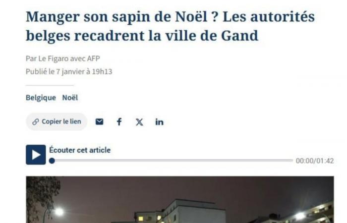 La Belgique devient la risée des médias du monde entier après que la ville de Gand propose de manger son sapin de Noël