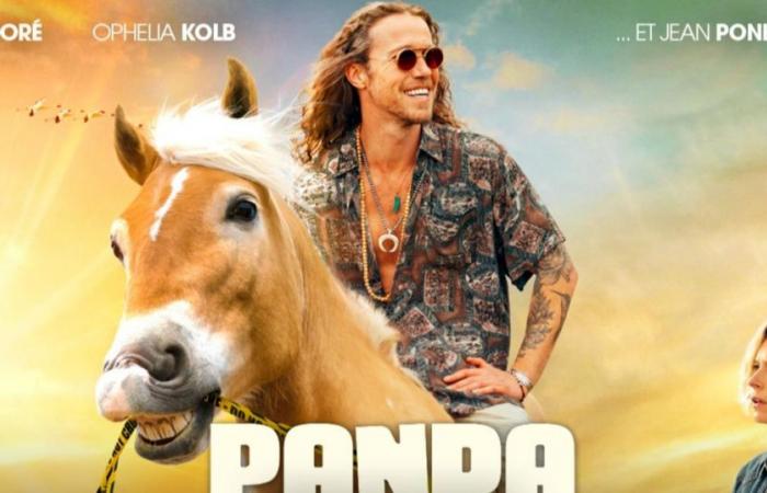 petite déception pour le retour de Panda sur TF1