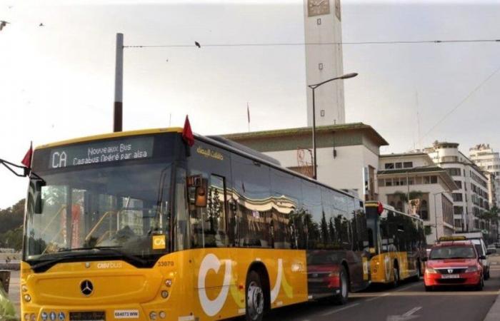 Casabus ajuste les itinéraires de neuf lignes de bus