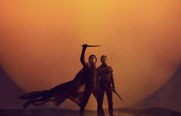 “Ça deviendrait malsain” Denis Villeneuve confirme une des craintes de tous les fans avec la sortie du prochain film Dune