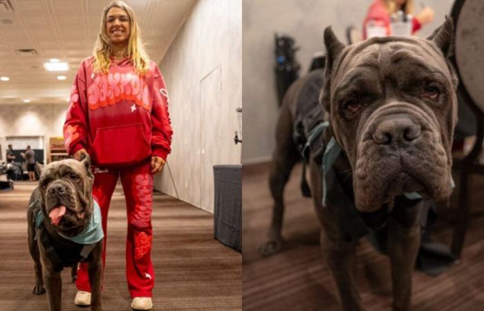 Pourquoi Mackenzie Dern avait-elle un chien de soutien émotionnel avec elle lors de la conférence de presse de l’UFC Vegas 101 ? Le chien fera-t-il une apparition le jour du combat ?