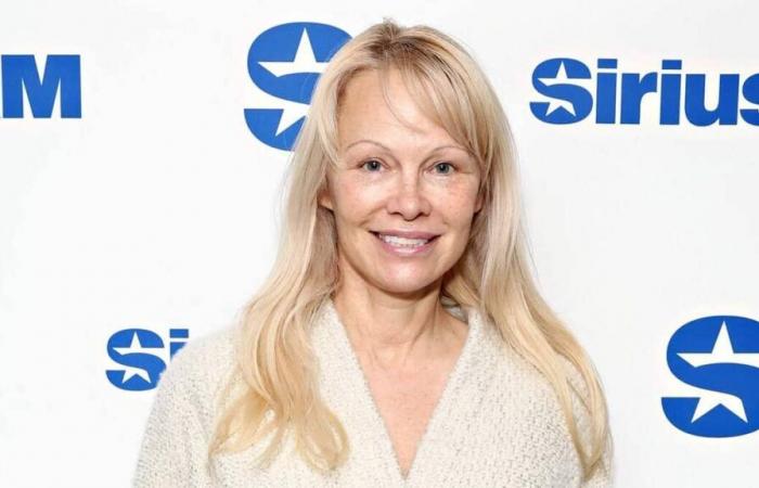 Pamela Anderson a failli être « tuée » par un homme dans un avion