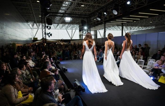 Salon du mariage, concerts, convention de tatouage… Que faire ce week-end à Toulouse ?