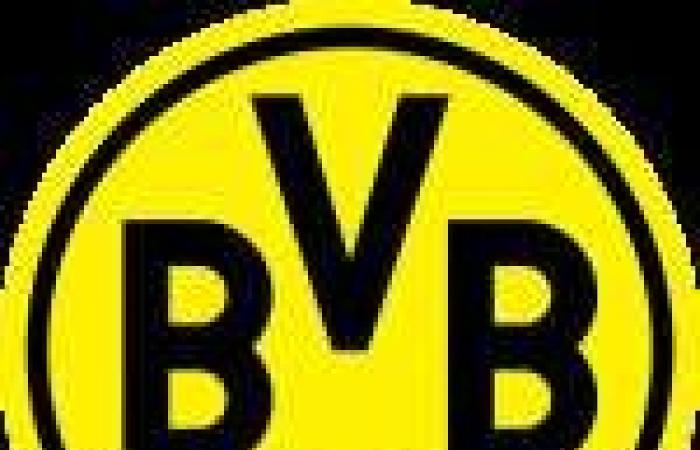 Leverkusen éliminé Dortmund – Bundesliga – J16 – Dortmund-Leverkusen (2-3)