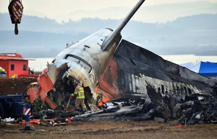 Les deux boîtes noires n’ont pas enregistré les dernières minutes avant le crash du Boeing