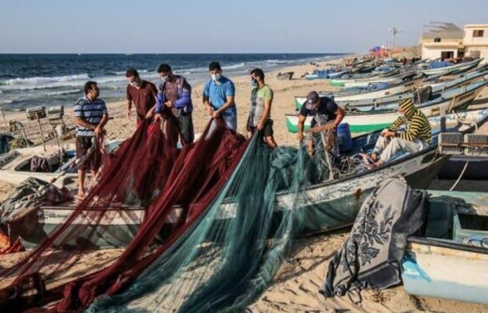 Augmentation de 12% des débarquements de pêche au port de Lamhiriz