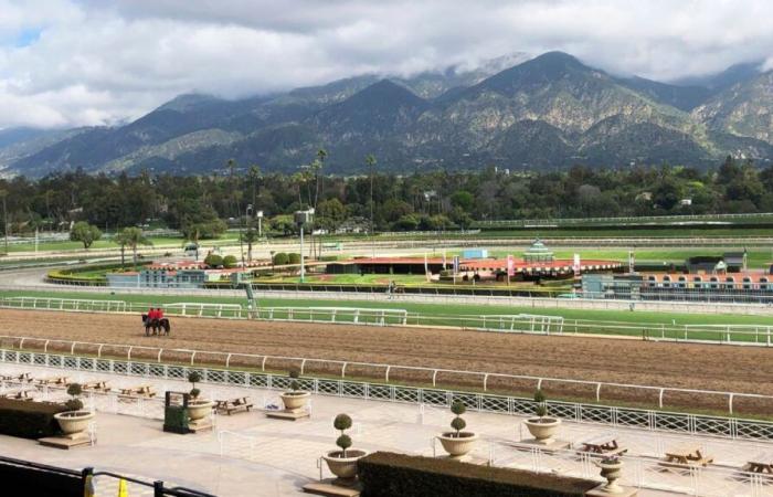 Santa Anita reporte la course sur scène pour soulager les incendies