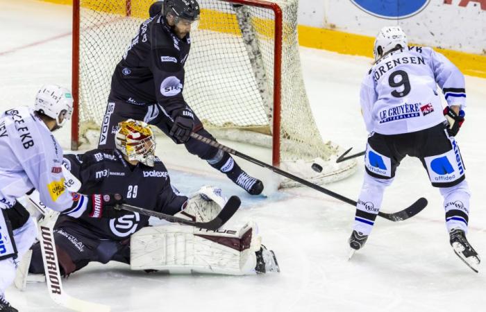 Genève-Servette falls back into its failings against Fribourg-Gottéron