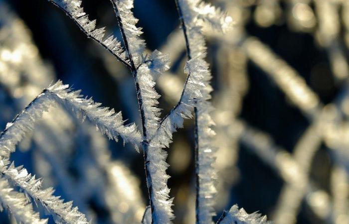 CARTE. Météo France activera la vigilance « grand froid » ce dimanche, voici les départements concernés