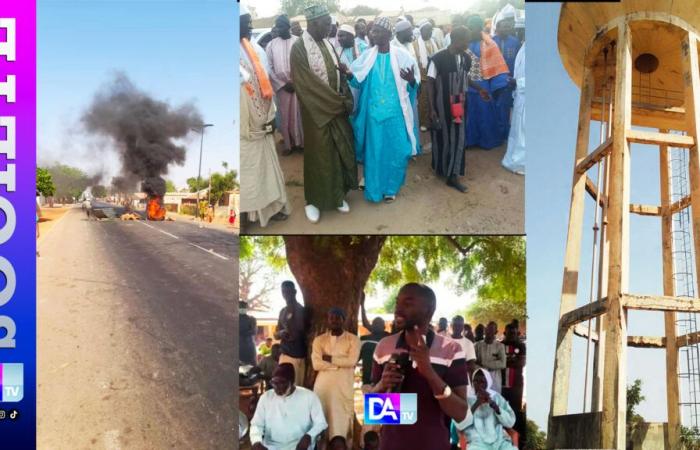 blessés, une trentaine d’interpellations dont un malade, des personnes âgées (60 et 70 ans) et des jeunes